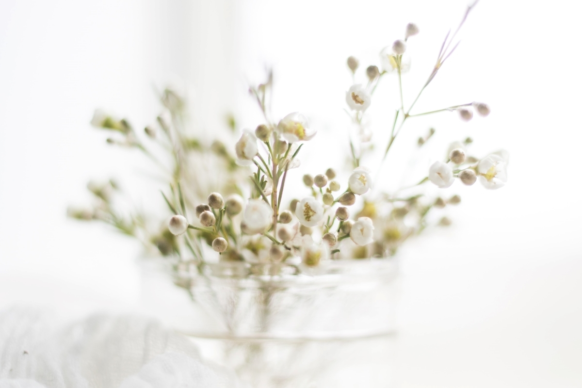 f:id:chipmunksmau:20210416194412j:plain