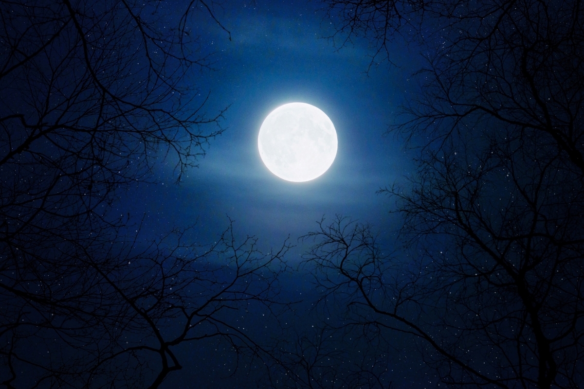 １００ THE MOON フライヤー ザ・ムーン 100 THE MOON フライヤー ザ・ムーン