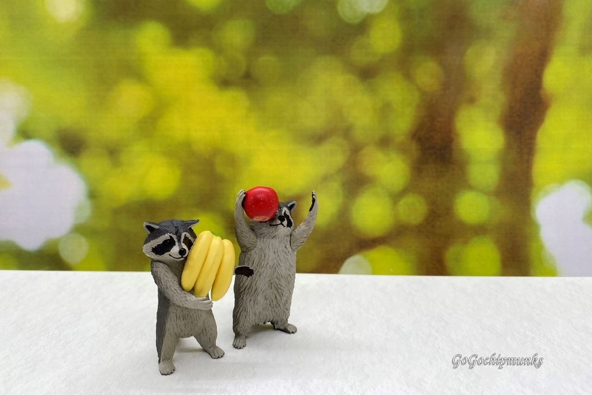 f:id:chipmunksmau:20210610210522j:plain