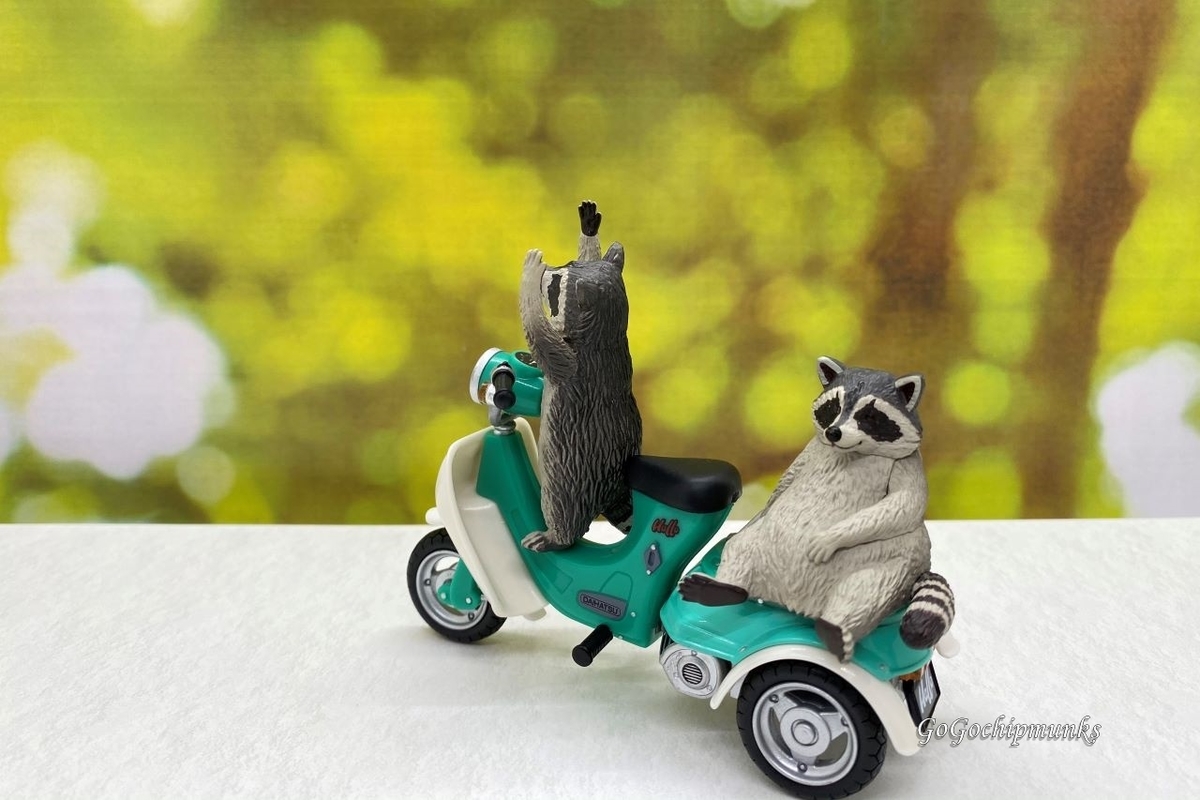 f:id:chipmunksmau:20210610210747j:plain