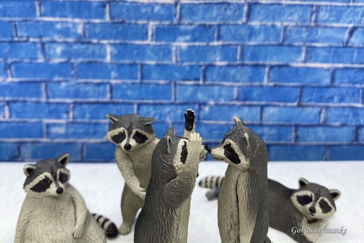 中に人が入ってるアライグマがかわいい キタンクラブ ハグルのリーメントミニチュアブログ 中に人が入ってるアライグマがかわいい キタンクラブ ハグルのリーメントミニチュアブログ