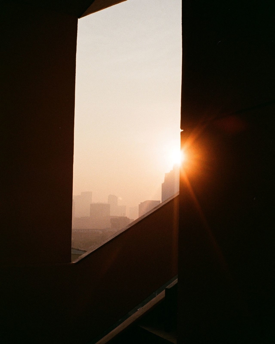 f:id:chipmunksmau:20210716224810j:plain