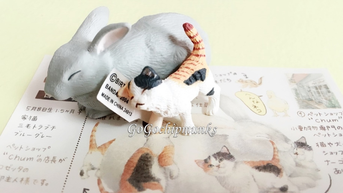 f:id:chipmunksmau:20210807231657j:plain