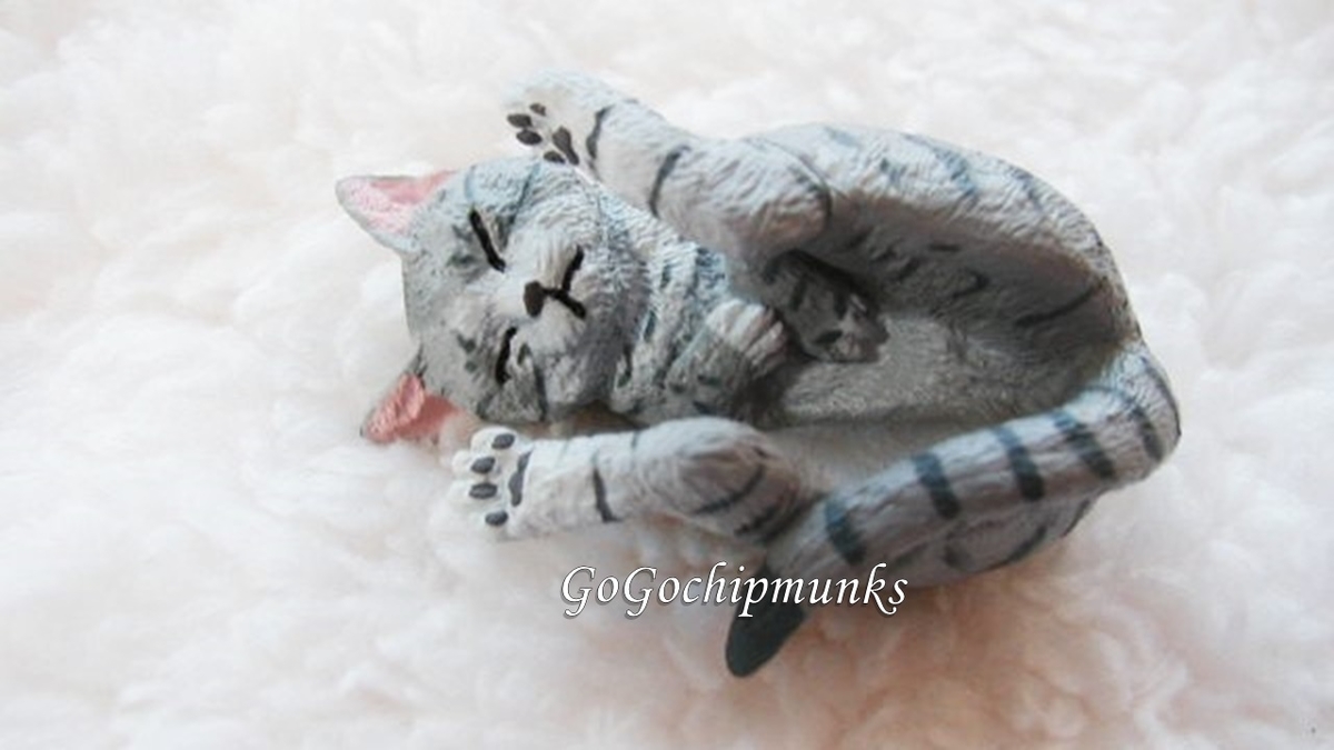 f:id:chipmunksmau:20210807232229j:plain