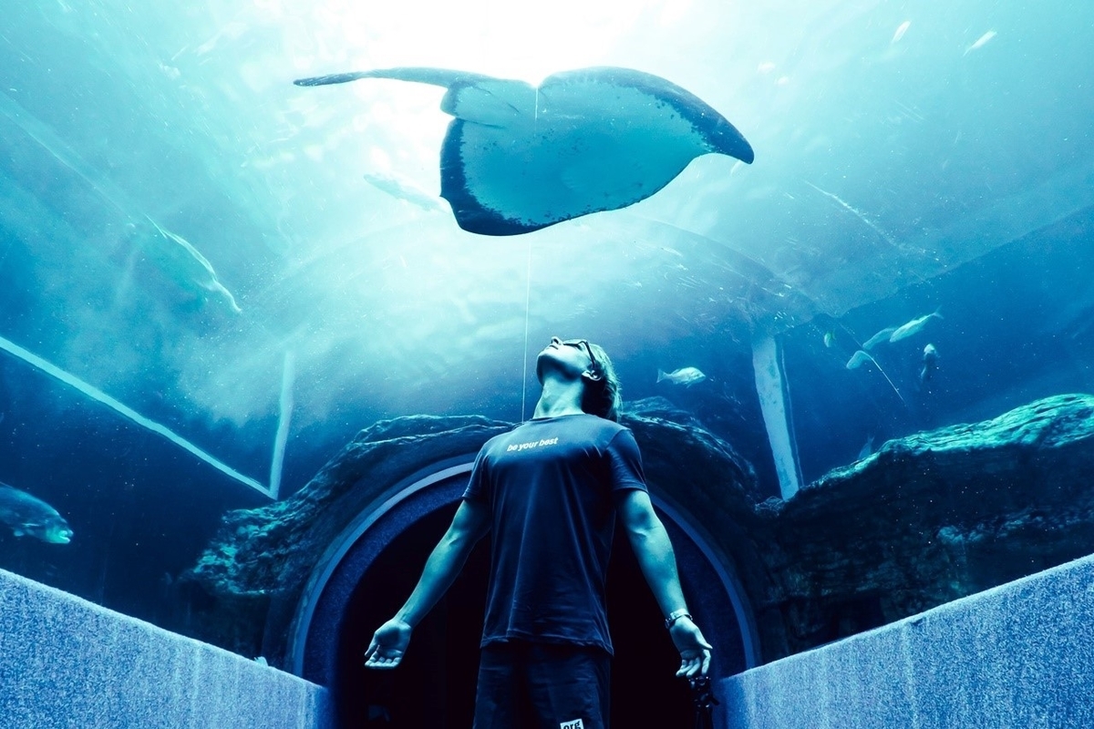 f:id:chipmunksmau:20210903113640j:plain