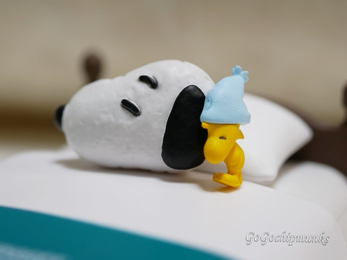 f:id:chipmunksmau:20220222012408j:plain