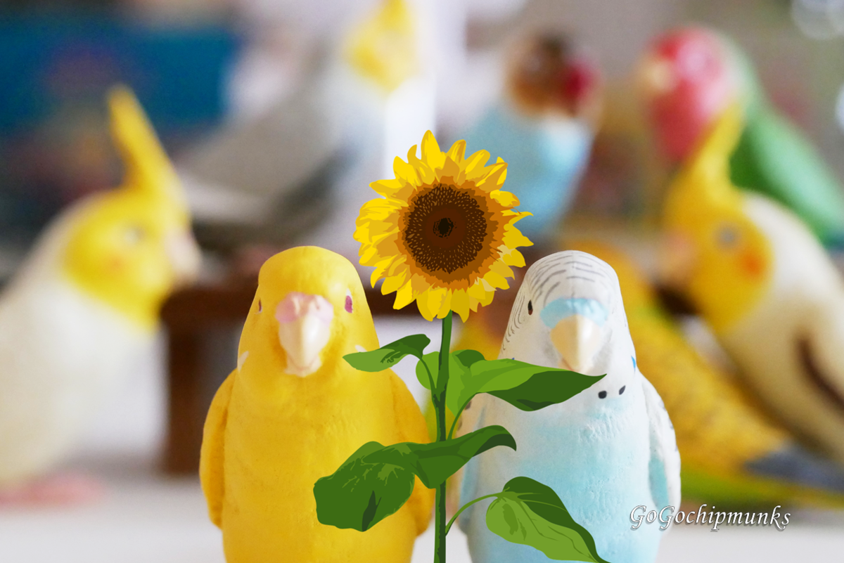 和葉 手のりインココレクション スヤスヤお休み14種類&amp;ちょっと大きな仲間 シャイング 手のり インコ コレクション~スヤスヤおやすみ編~ 全