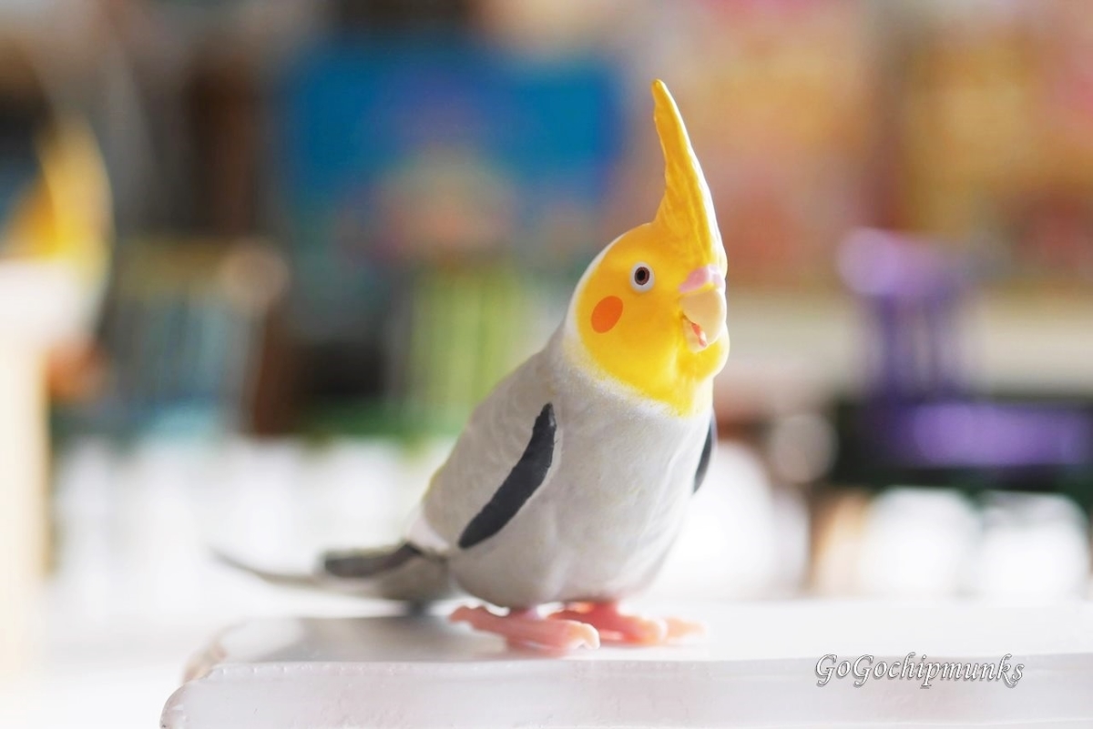 f:id:chipmunksmau:20220304133653j:plain