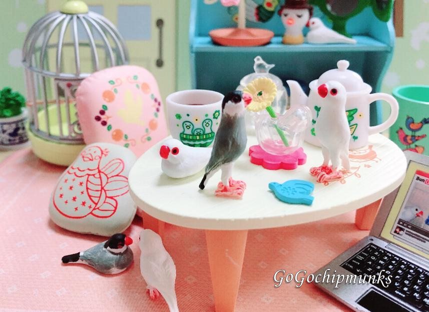 鳥のいる生活☆リーメント【ピーちゃん色とりどり】 - ハグルの