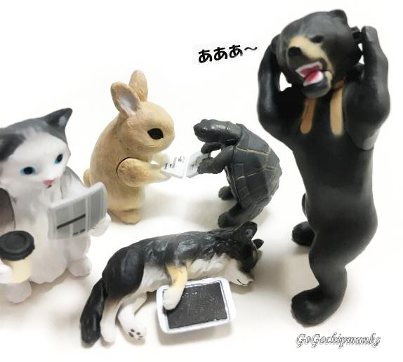 会社員うさぎ  正社員募集 うさちゃん大好きな方大歓迎！ 今は知識が無くてもう