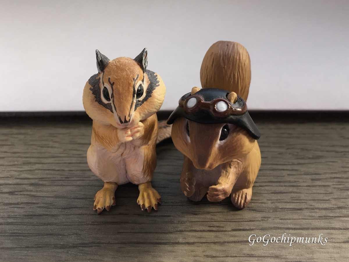 リス物語＋おくすりをのむピーター【シマリス☆ピーターラビットの世界