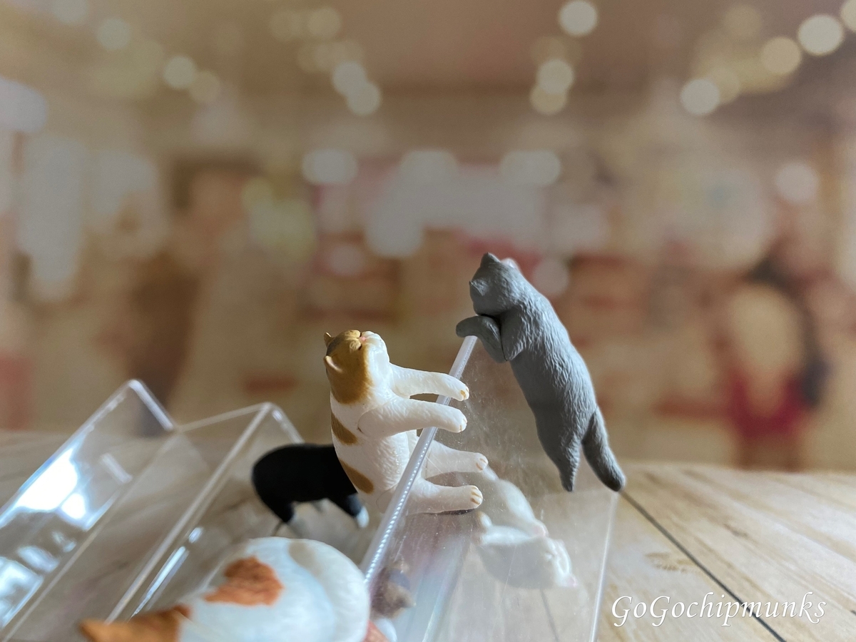 ブサ猫さんの酒盛り♡縁起物、招き猫、陶器人形、置物猫人形エキゾチックショートヘア 可愛い❤️ブサカワ猫ちゃん。縁起物、陶器人形、置物、招き猫