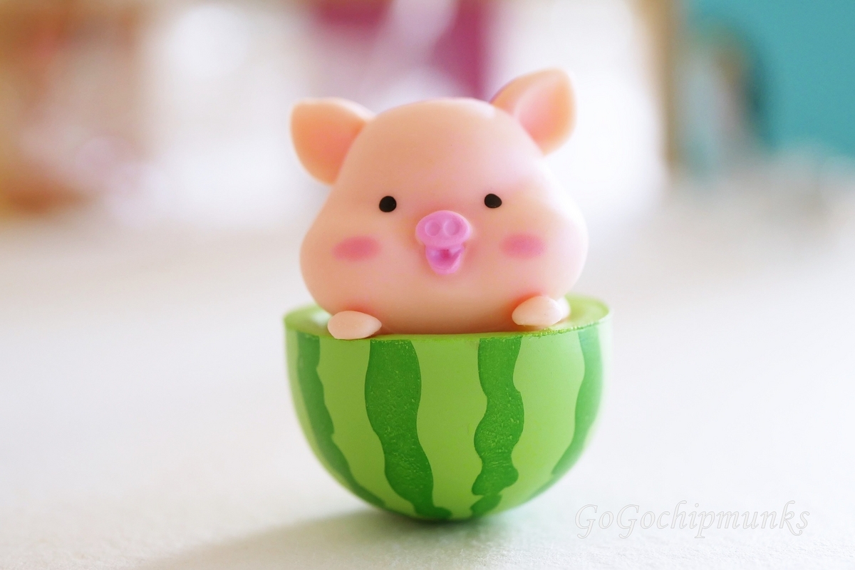 ぶたちゃんの日常〜Butachan daily life〜 - ハグルのリーメント