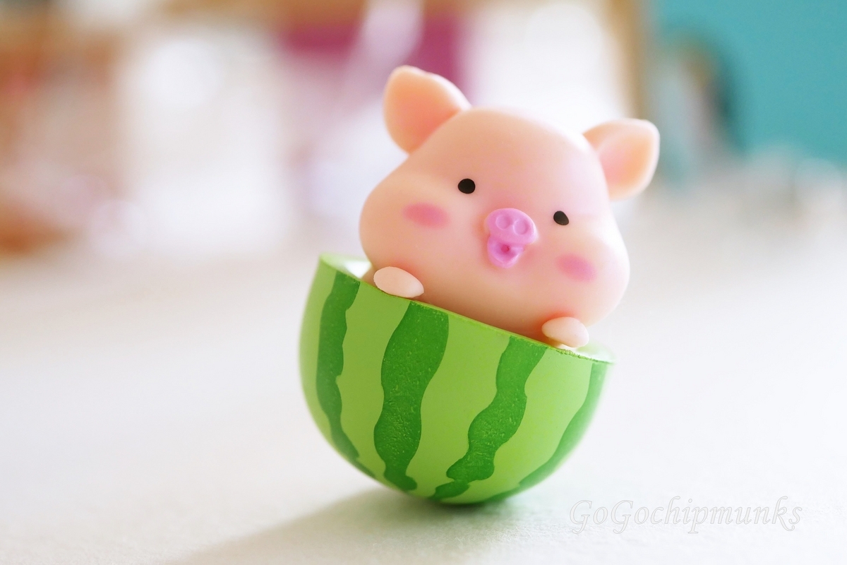 ぶたちゃんの日常〜Butachan daily life〜 - ハグルのリーメント