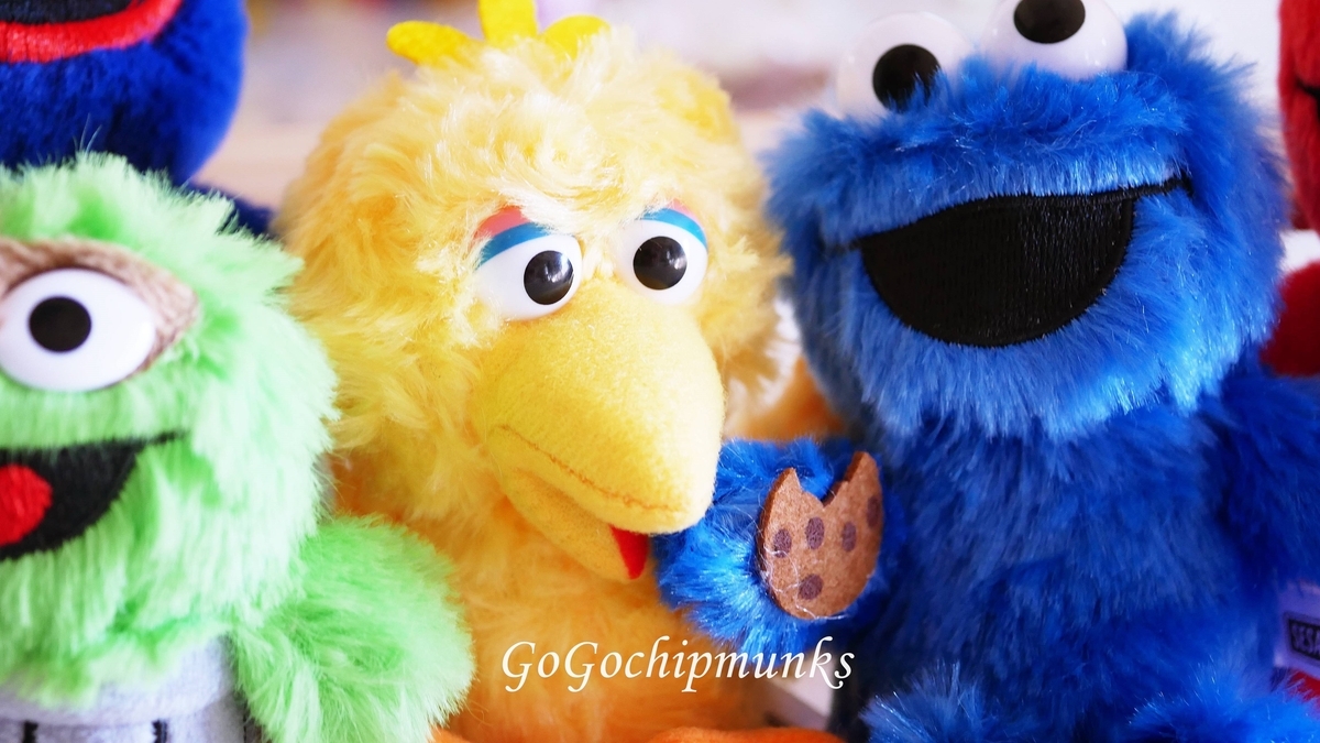 セサミストリートのぬいぐるみ モコモコふわふわ【Sesame Street Plush