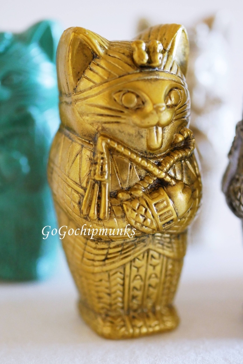 神秘的でかわいい ミイラ・キャットThe mummy cat 【猫