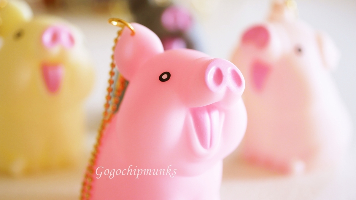 きゅっと鳴く！だまることを知らないブタやろうはおしりもかわいかった