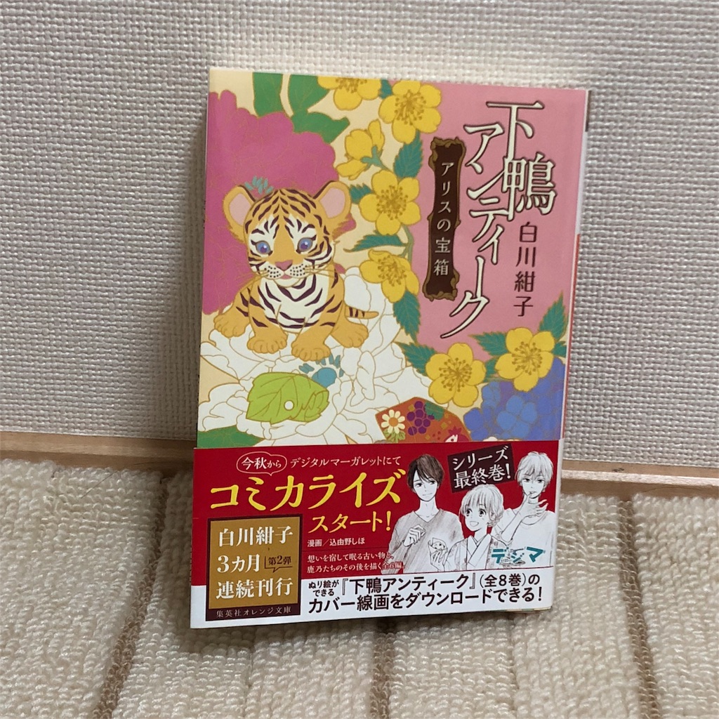 f:id:chipomote:20180927004548j:image
