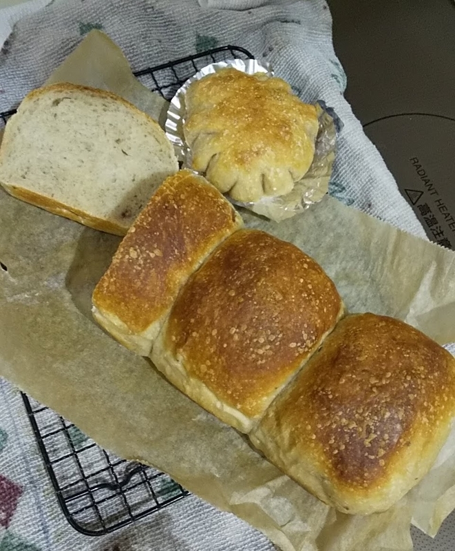 f:id:chippocket:20210517142919j:plain