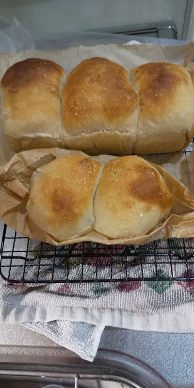 f:id:chippocket:20210531152257j:plain