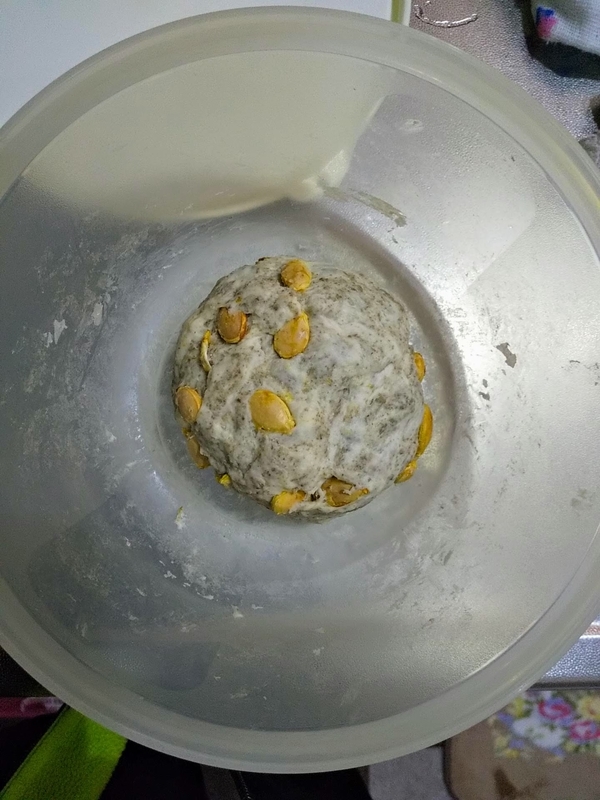 f:id:chippocket:20220112141817j:plain