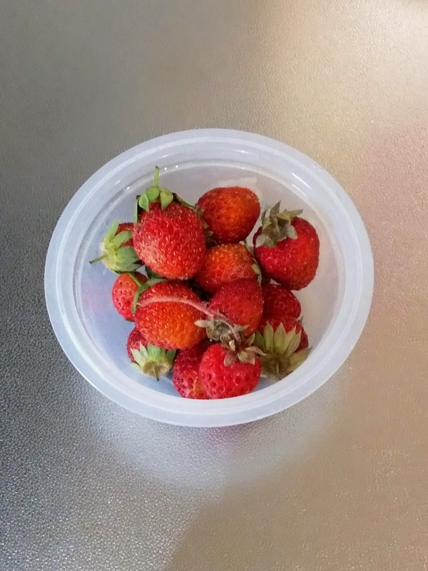 自家製いちご