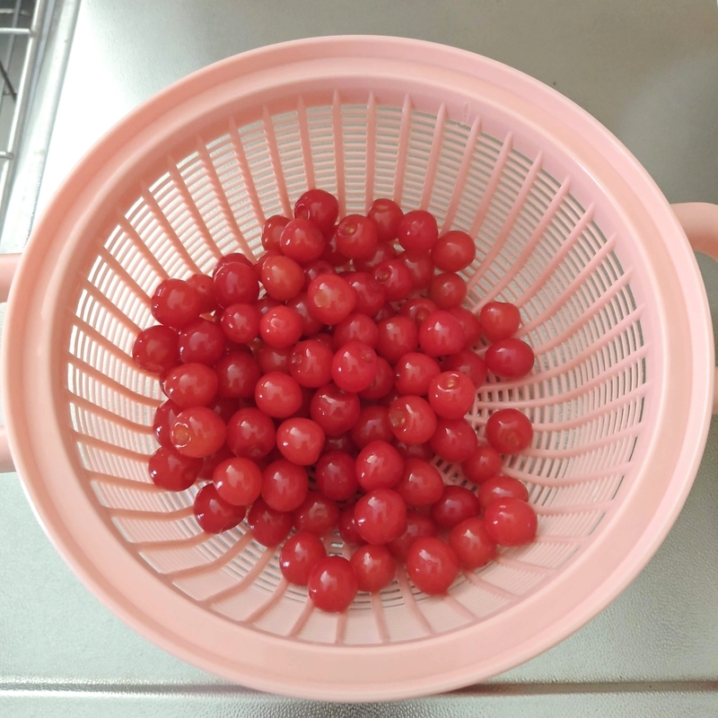 さくらんぼ