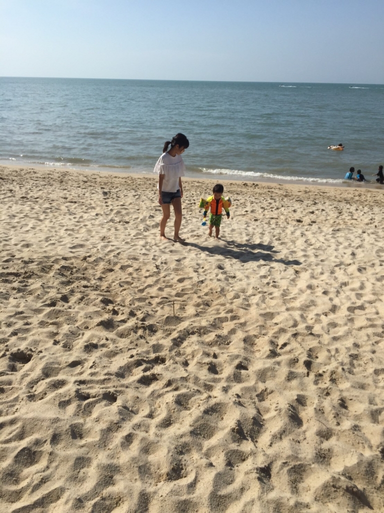 f:id:chipppppearl1030:20170202101606j:plain f:id:chipppppearl1030:20170202101606j:plain