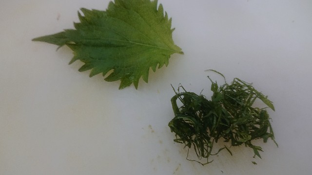 f:id:chippy55:20201213014209j:image f:id:chippy55:20201213014209j:image