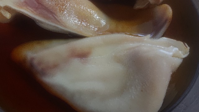 f:id:chippy55:20201230231325j:image