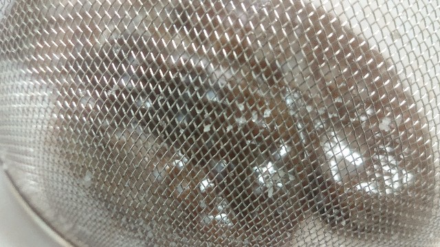 板前レシピ ナマコ 下処理 さばき方 ちっぴぃクッキング