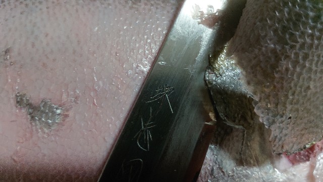 f:id:chippy55:20210306181337j:image