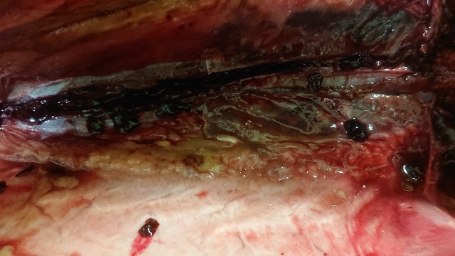 f:id:chippy55:20210307004329j:image