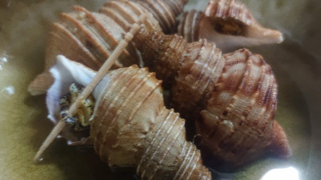 f:id:chippy55:20210312192349j:image f:id:chippy55:20210312192349j:image