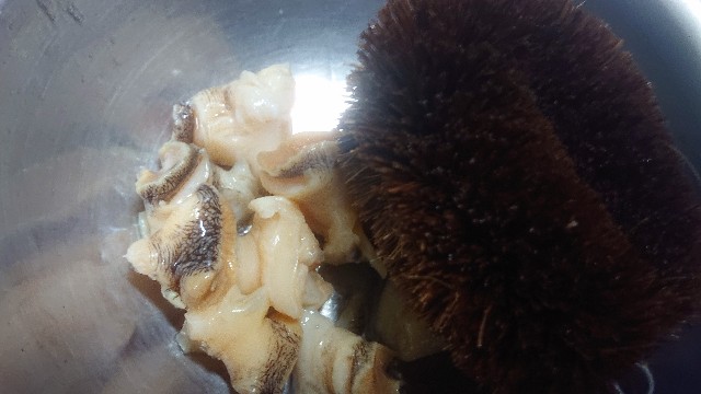 f:id:chippy55:20210314015846j:image f:id:chippy55:20210314015846j:image
