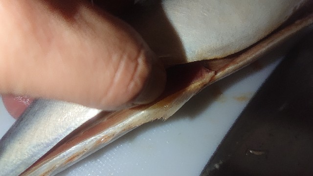 f:id:chippy55:20210317204817j:image