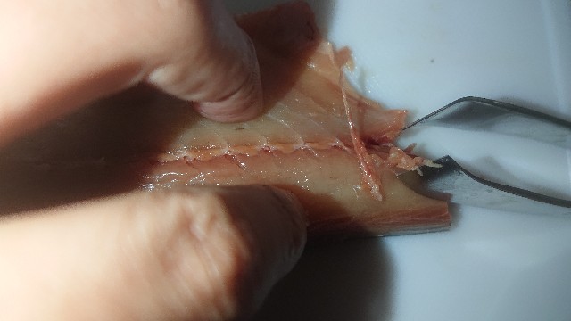 f:id:chippy55:20210317224546j:image