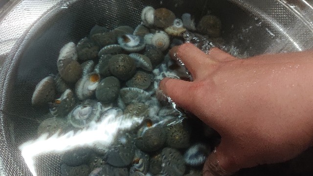 板前レシピ ナガラミ シッタカ 塩茹で 一手間加えた塩茹での作り方 ちっぴぃクッキング