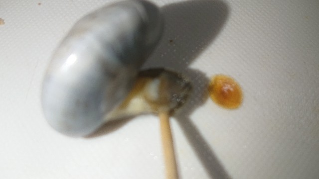 板前レシピ ナガラミ シッタカ 塩茹で 一手間加えた塩茹での作り方 ちっぴぃクッキング
