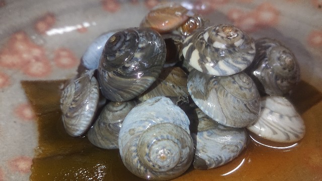 f:id:chippy55:20210329230152j:image f:id:chippy55:20210329230152j:image