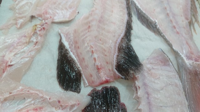 f:id:chippy55:20210408211118j:image