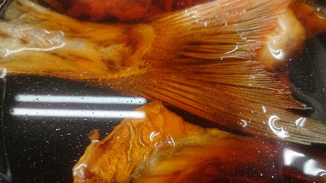 f:id:chippy55:20210408212550j:image