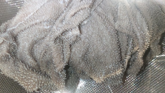 f:id:chippy55:20210429193714j:image