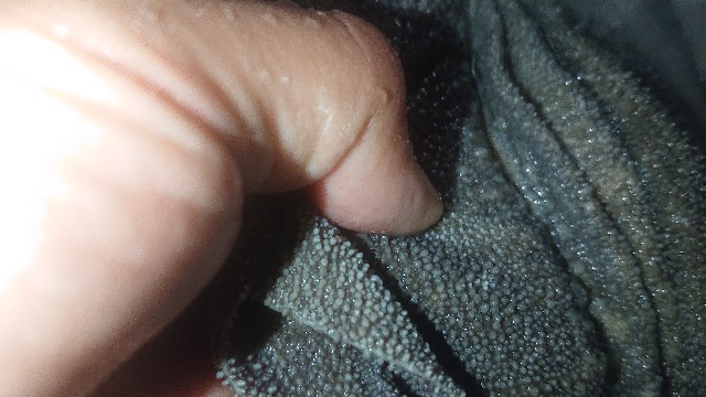 f:id:chippy55:20210429194248j:image