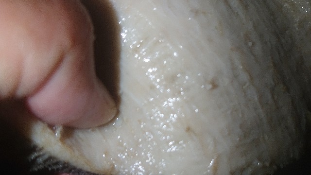 f:id:chippy55:20210429194306j:image