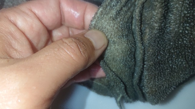 f:id:chippy55:20210429194415j:image
