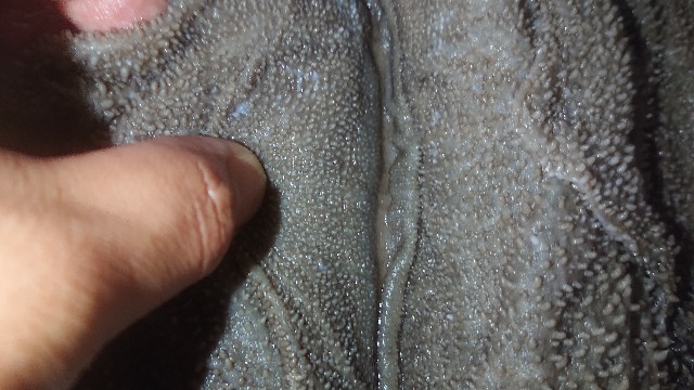 f:id:chippy55:20210502061324j:image
