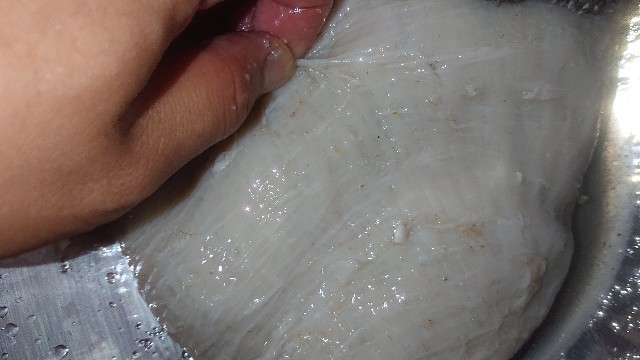 f:id:chippy55:20210503193619j:image