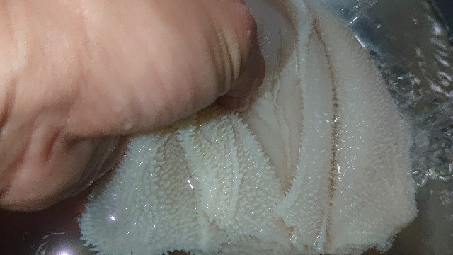 f:id:chippy55:20210503195338j:image