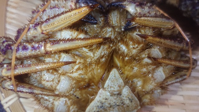 f:id:chippy55:20210517125630j:image f:id:chippy55:20210517125630j:image